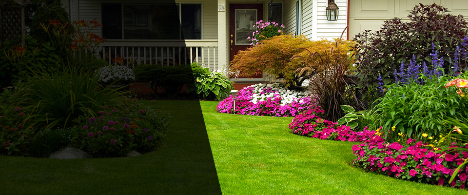 Nokesville Landscapers