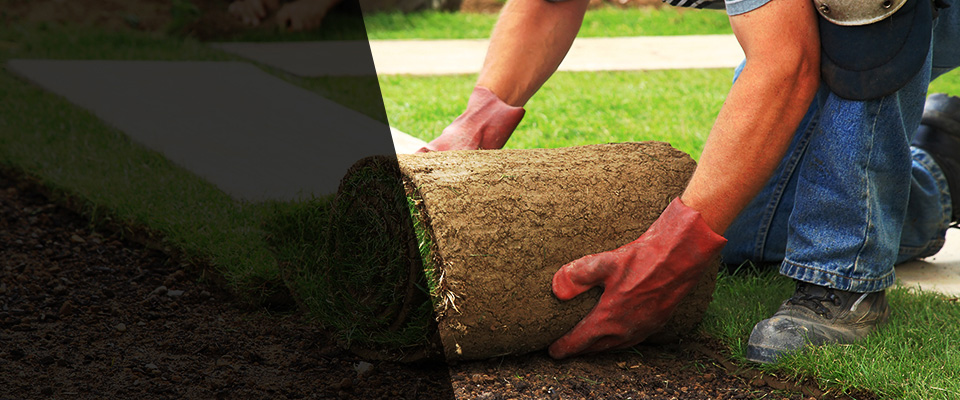 Nokesville Landscapers